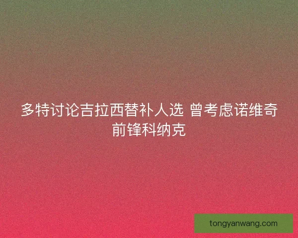 多特讨论吉拉西替补人选 曾考虑诺维奇前锋科纳克